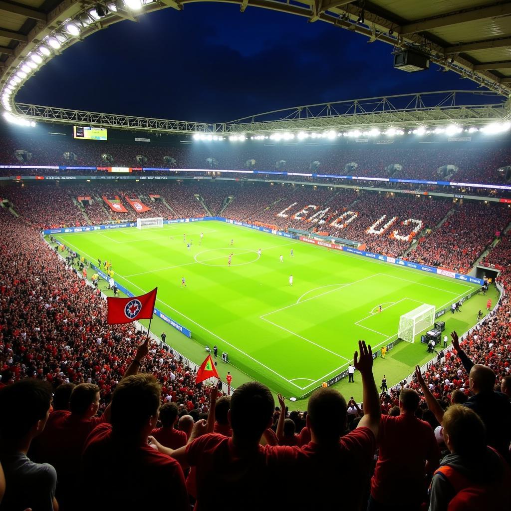 Football Fans in Stadium in 2016