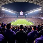 Baltimore Ravens fans filling up M&T Bank Stadium during a game