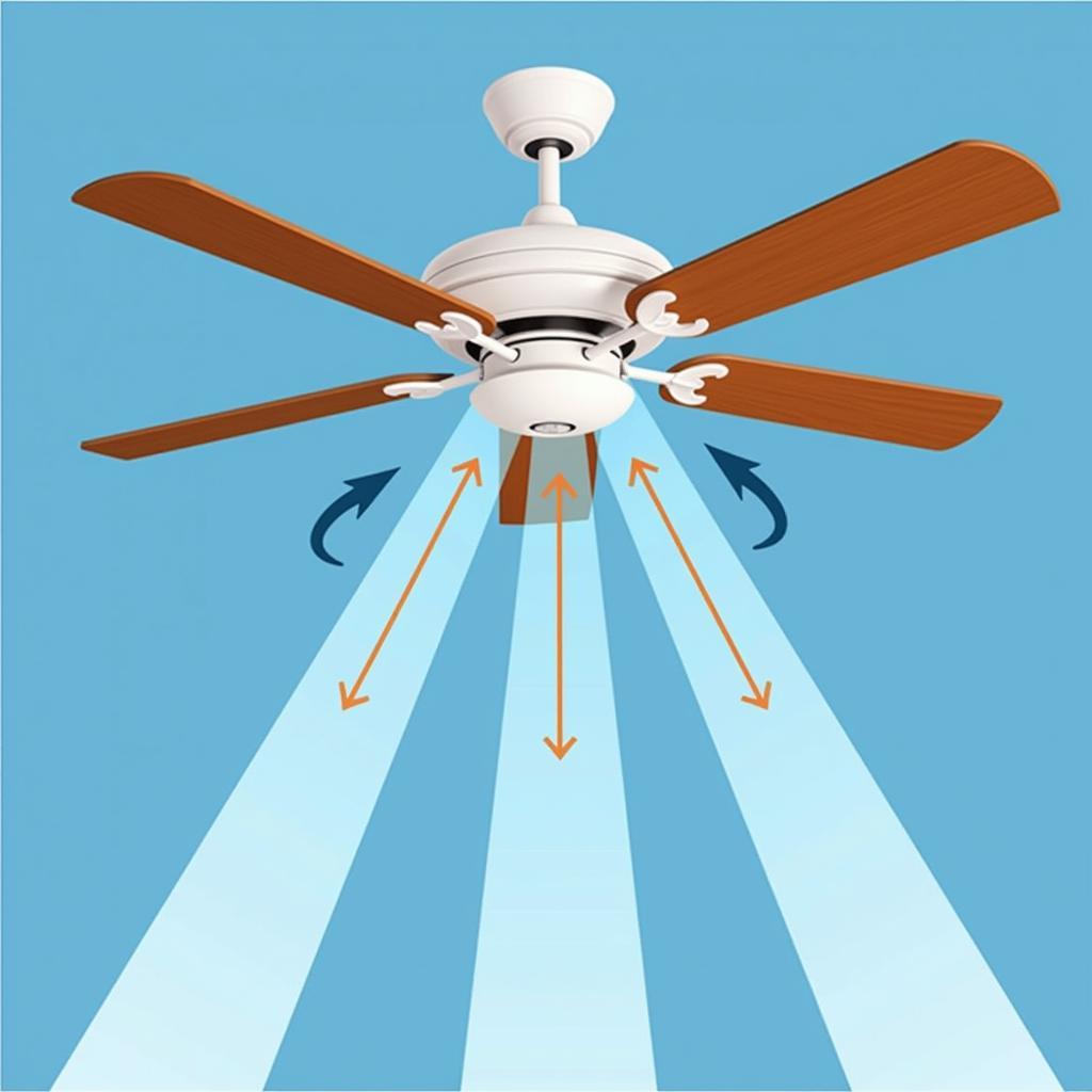 Airflow of a ceiling fan