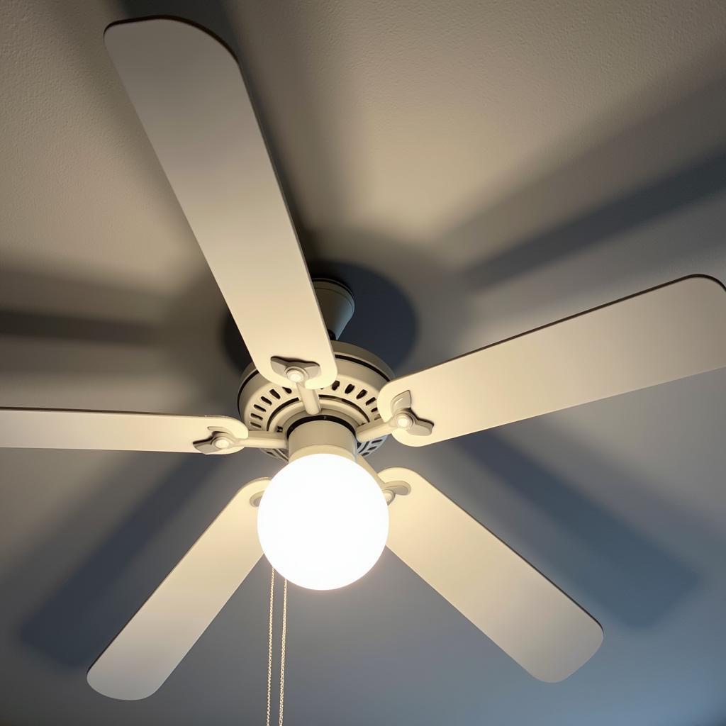 Ceiling Fan Rotating Clockwise