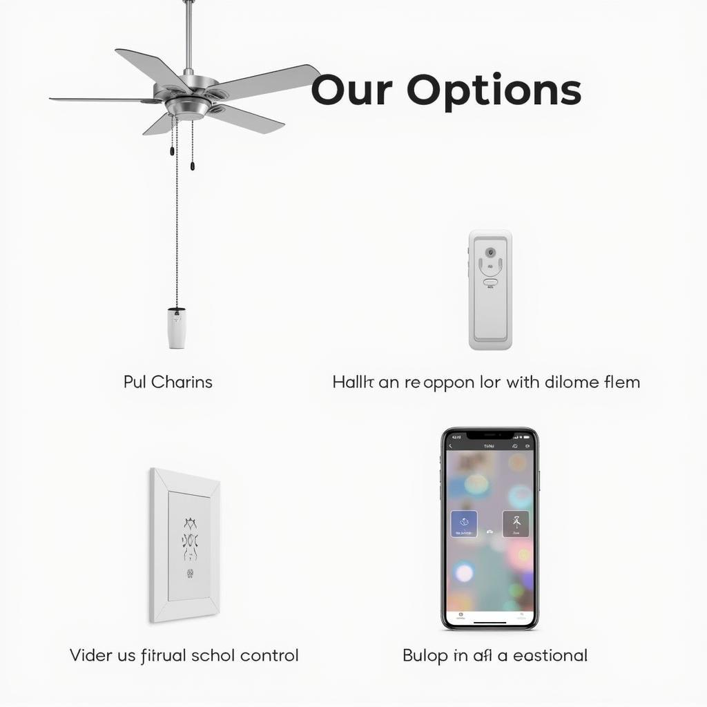 Different Ceiling Fan Control Options