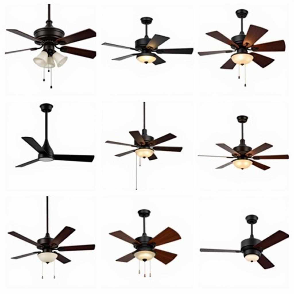 Different Styles of Ceiling Fans Available in Melbourne