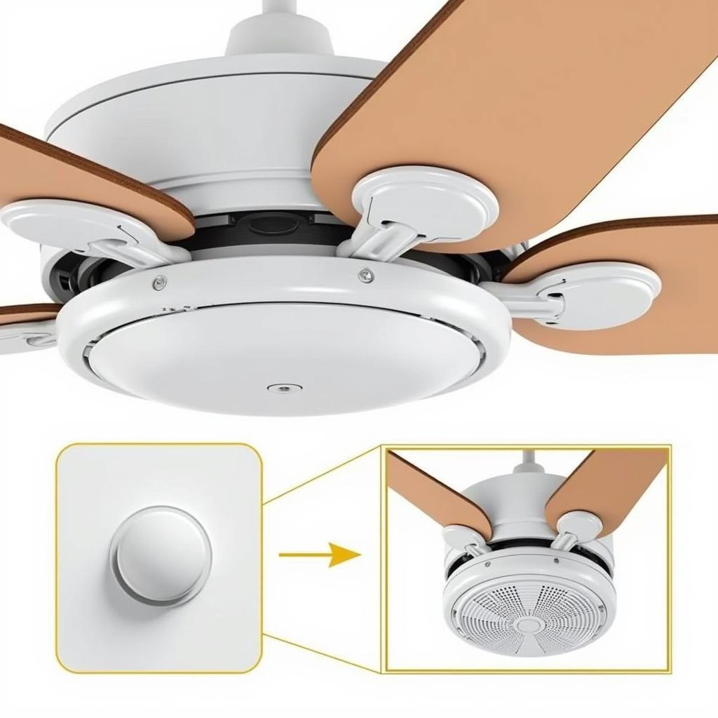 Close-up of Ceiling Fan Direction Switch