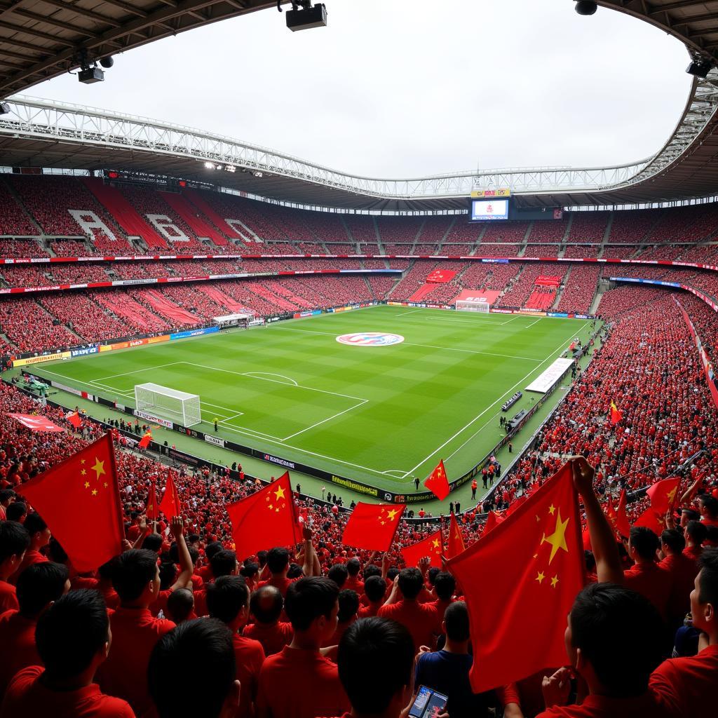 Chinese Fans in Stadium