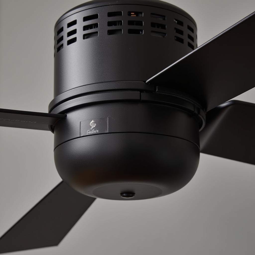 Modern cirrus fan design