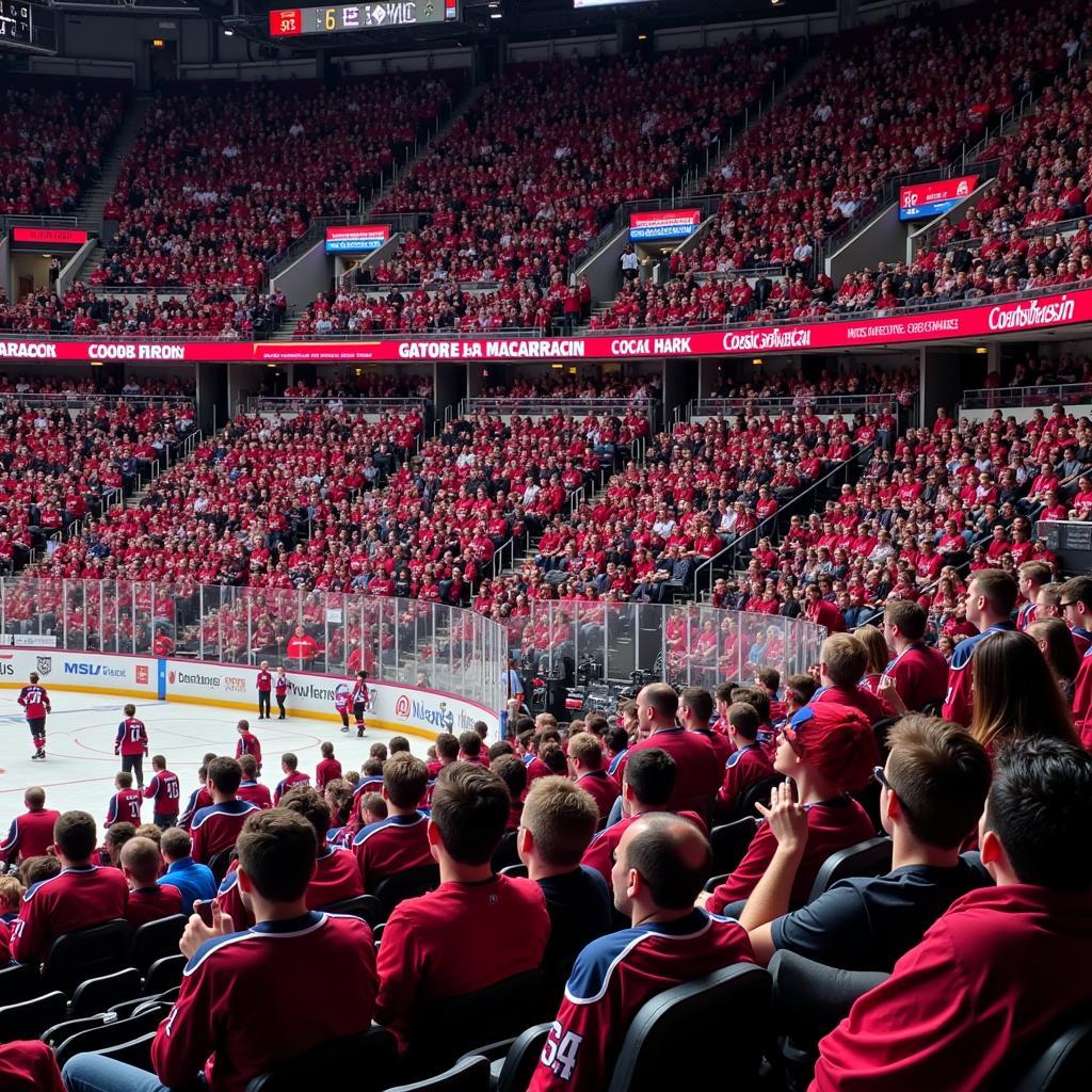 Colorado Avalanche fans creating a "C of Red" in the stands