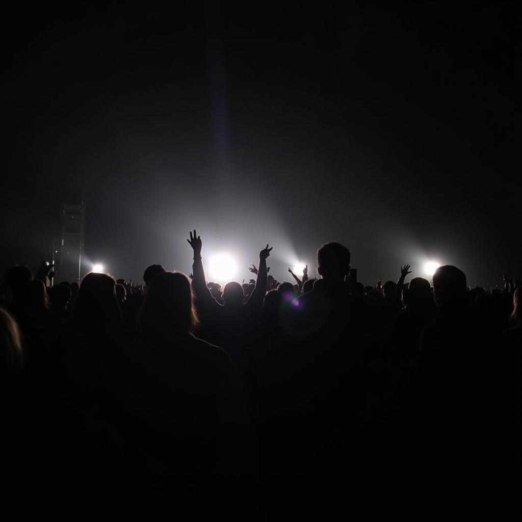 The crowd erupts during a D-Block & S-te-Fan "Lights Out" moment