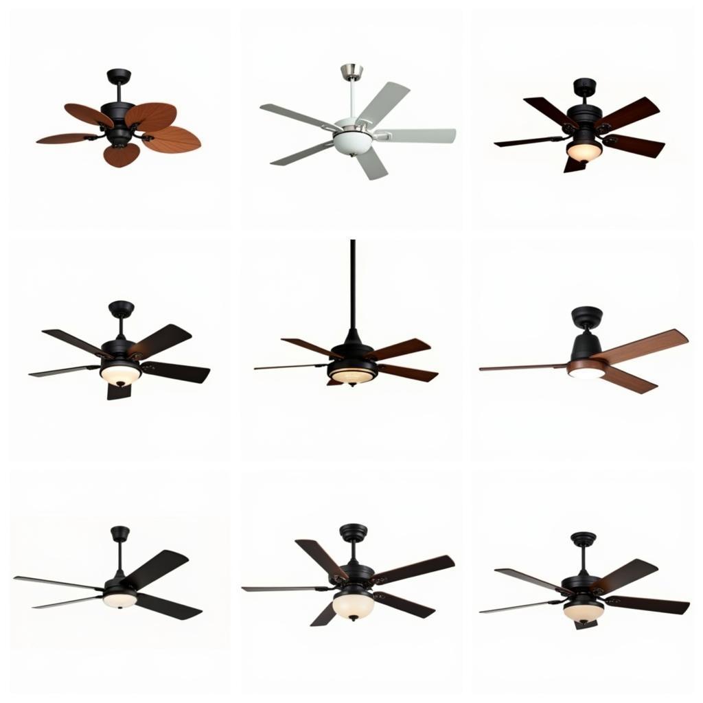 Daytona Beach Ceiling Fan Styles