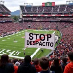 Fans holding banner against Despacito