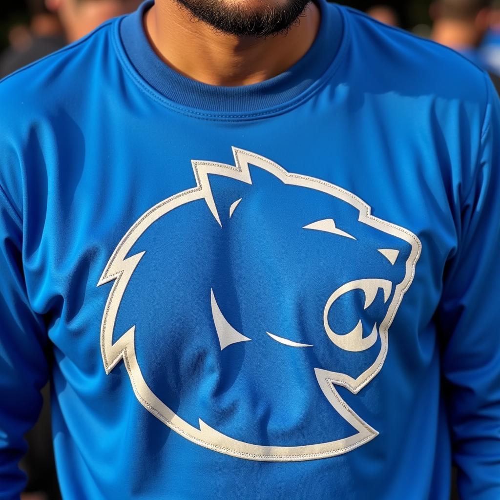 A Detroit Lions fan proudly sporting the team logo on a jersey.