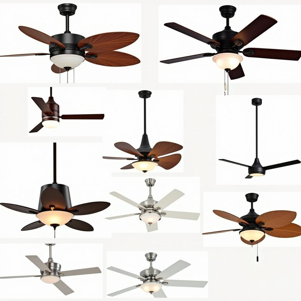 Ceiling Fan Styles for Every Home