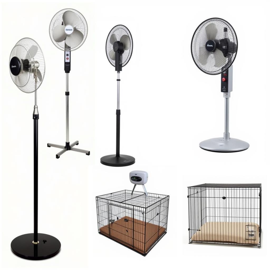 Dog-Safe Fan Options