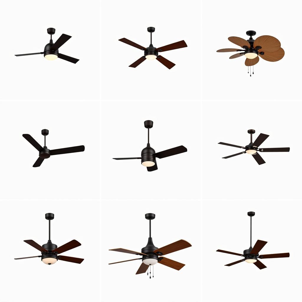 Explore Energy-Efficient Ceiling Fans