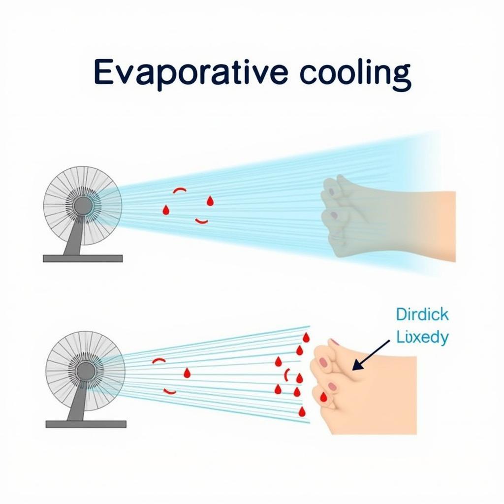 Evaporative Cooling Illustration