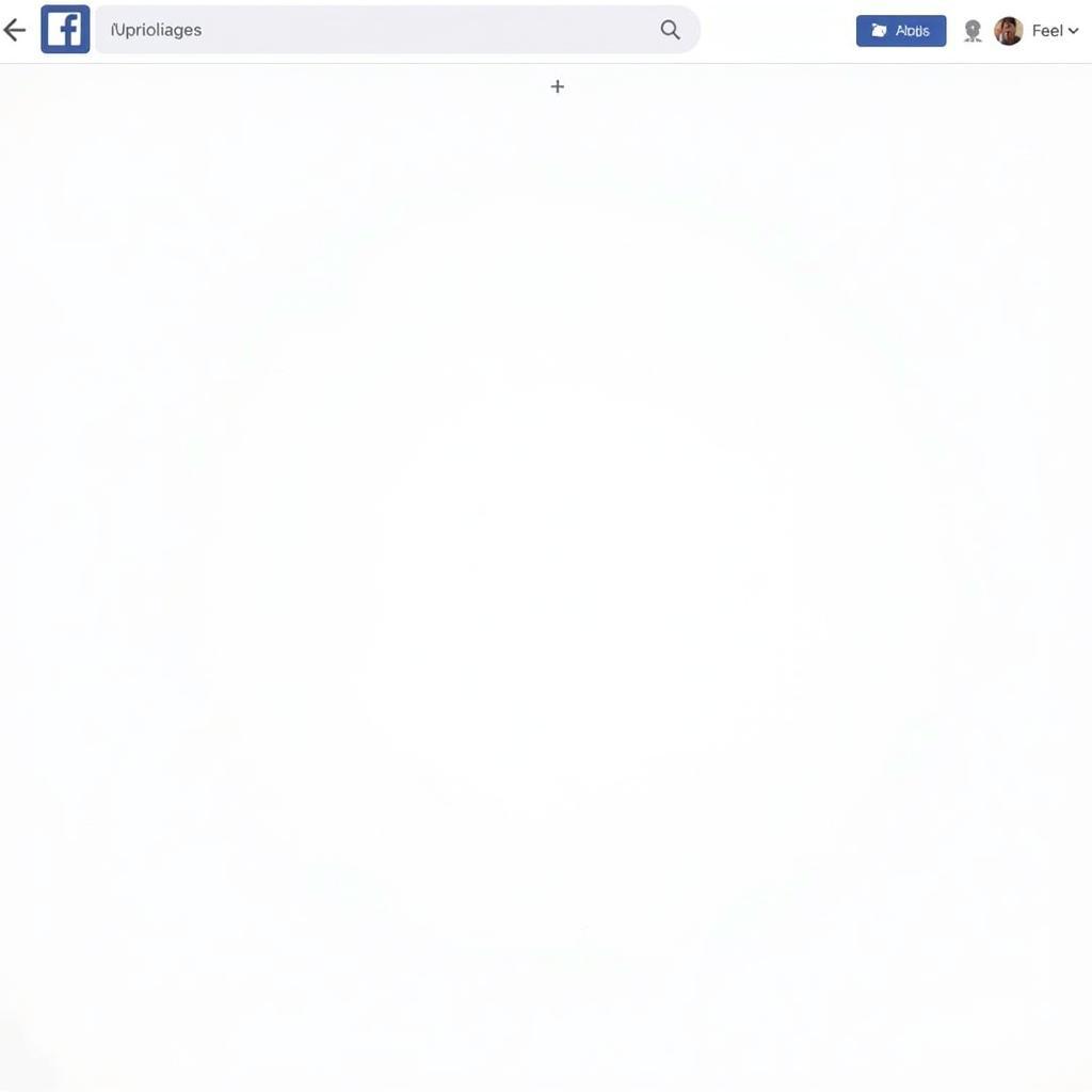 Embedded Facebook Fan Page displayed on a website 