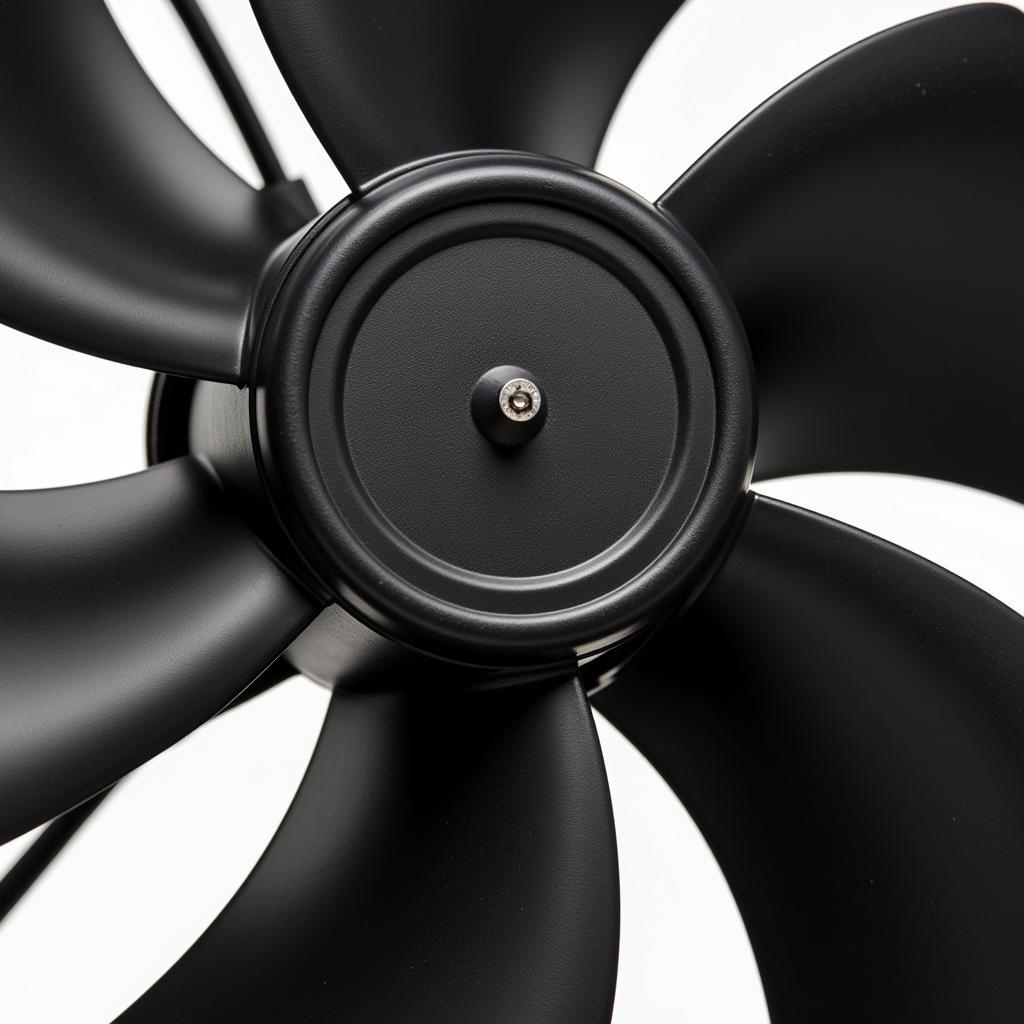 Close-up of a fan aigo black and white