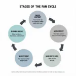 Fan Cycler Stages: Honeymoon, Engagement, Disillusionment, Apathy, Renewal