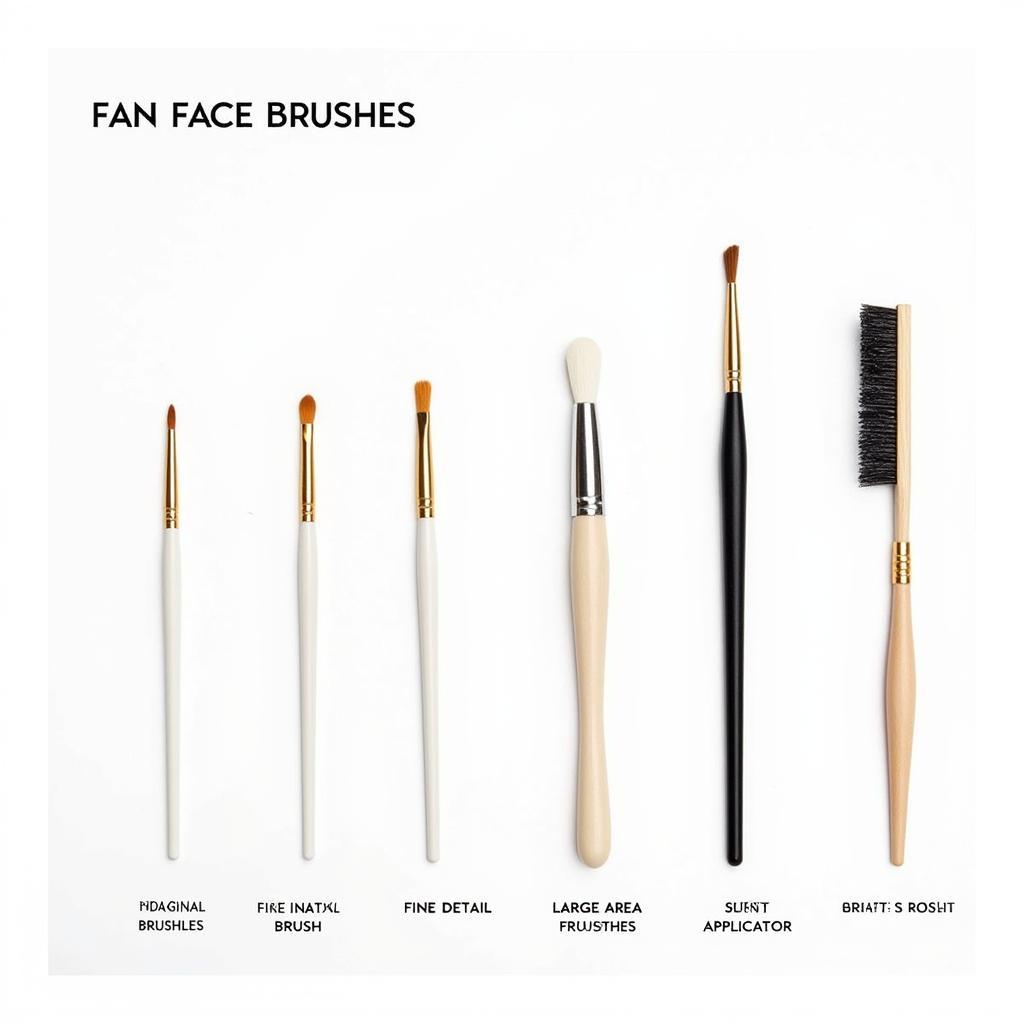 Different Types of Fan Face Brushes