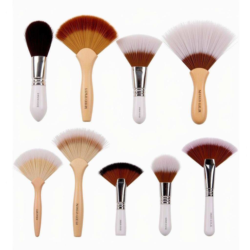 Fan Makeup Brushes in Different Sizes and Styles