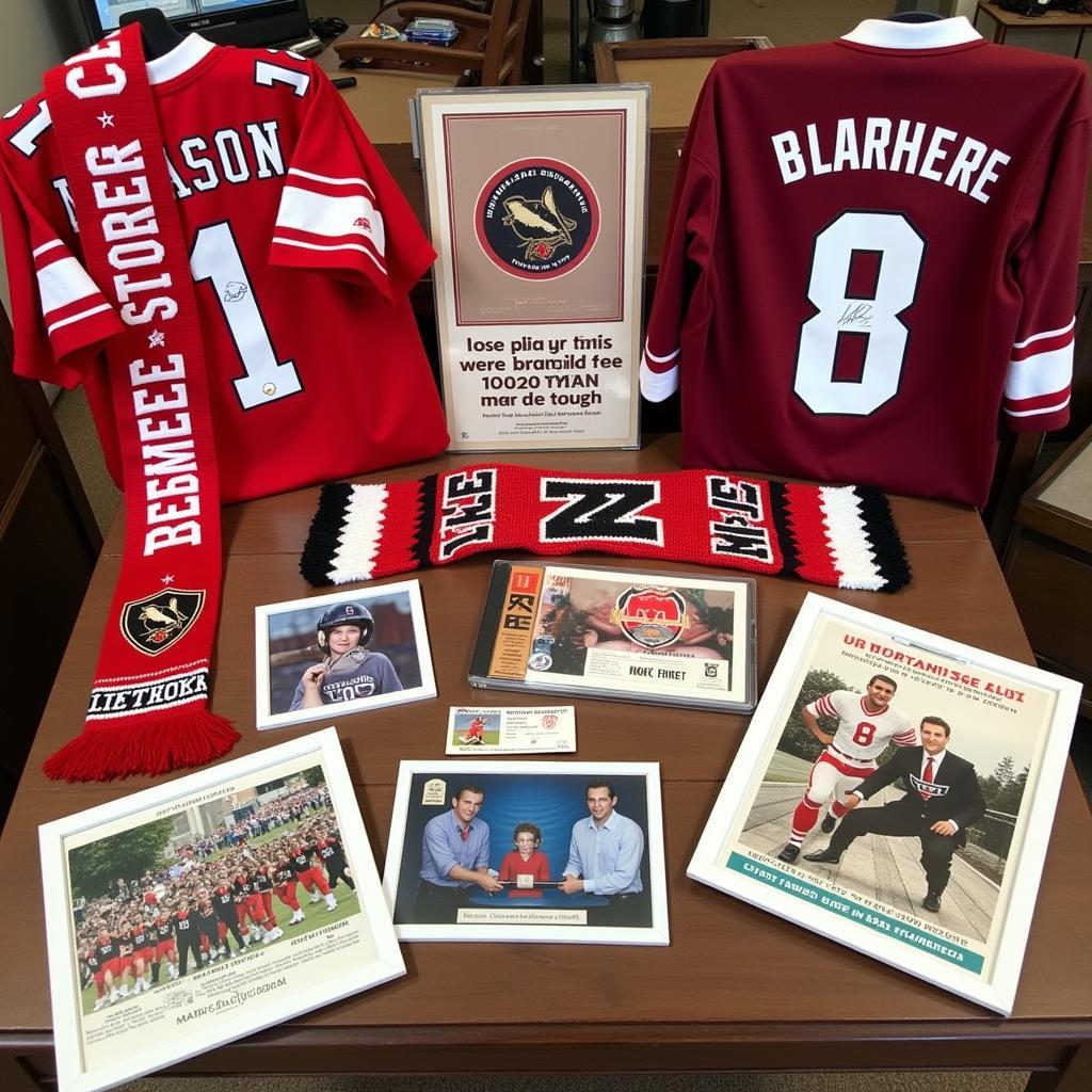 A fan's collection of memorabilia