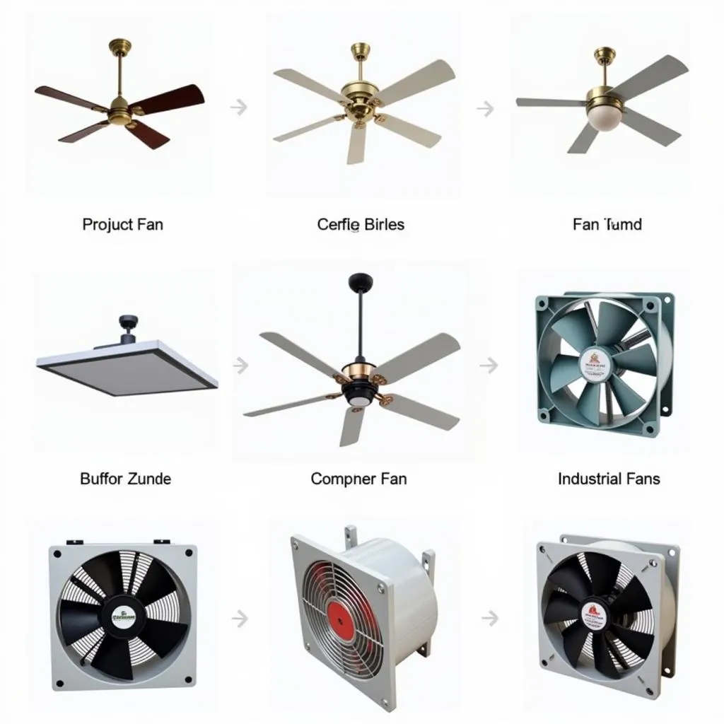 Fan Tai Company Products