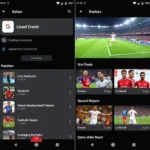 Fan TV APK interface