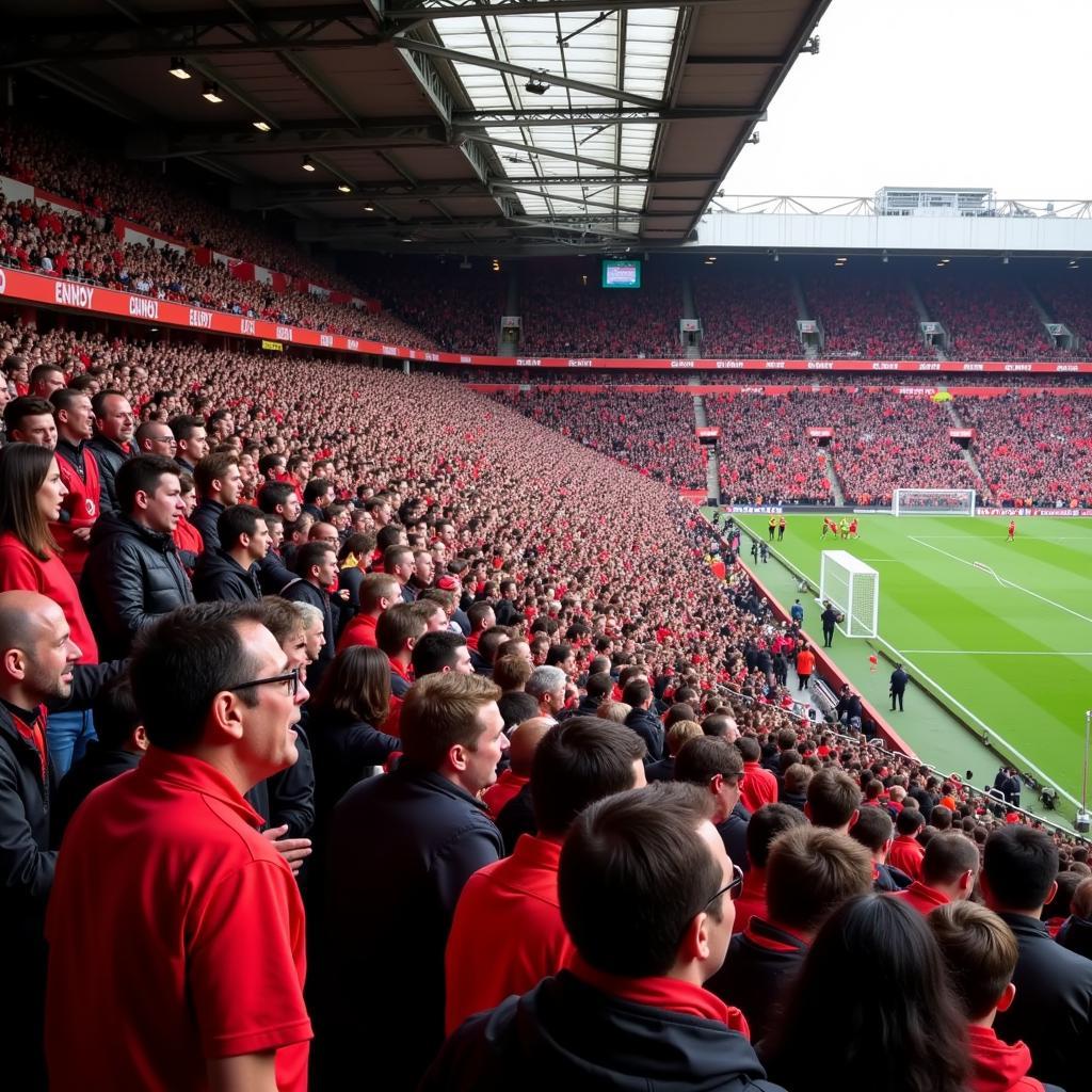 Jubilant Manchester United Fans