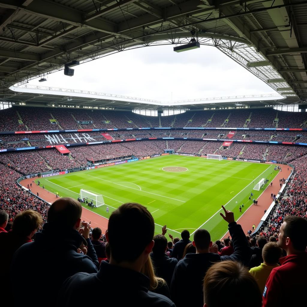 Fans Watching Football Match