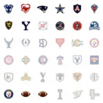 Football Fan PNG Collection