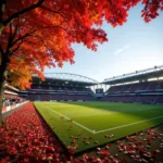 Football Stadium in Autumn with Falling Leaves