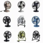 Free 3D Fan Models Available Online