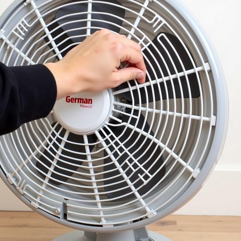 Maintaining a German Electric Fan