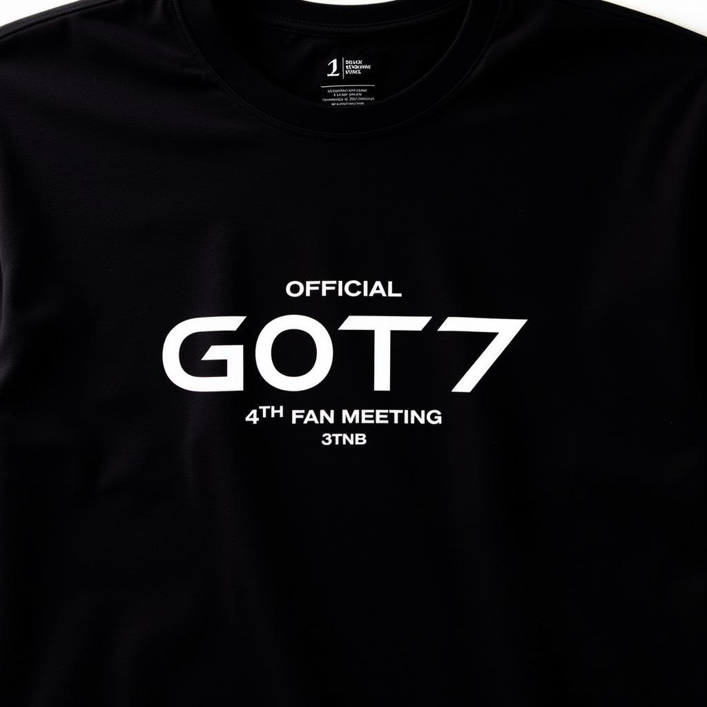 GOT7 fan meeting t-shirt design