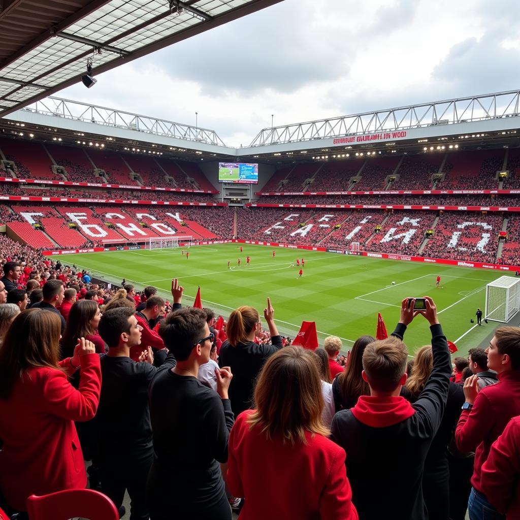 Hotgirl Fans at Old Trafford