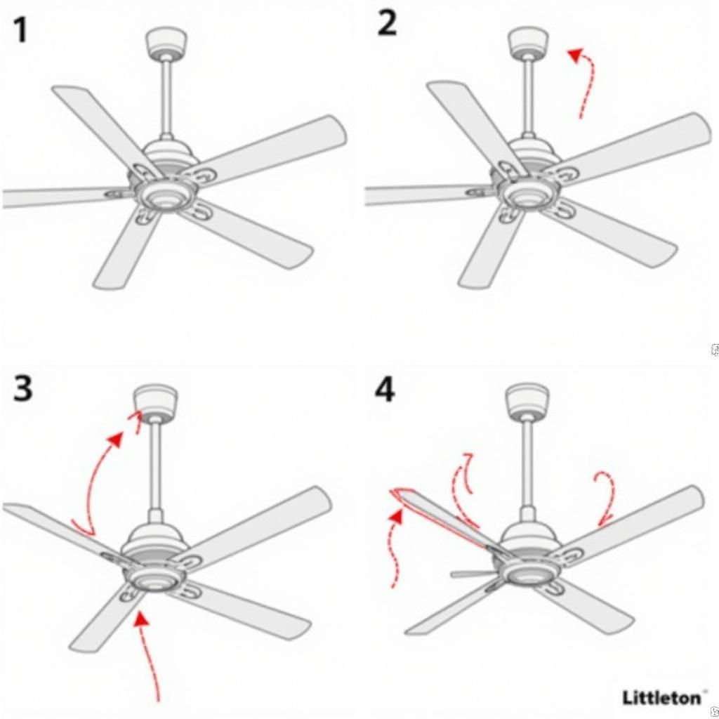 Littleton Ceiling Fan Installation