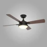 Modern Ceiling Fan with Integrated Light