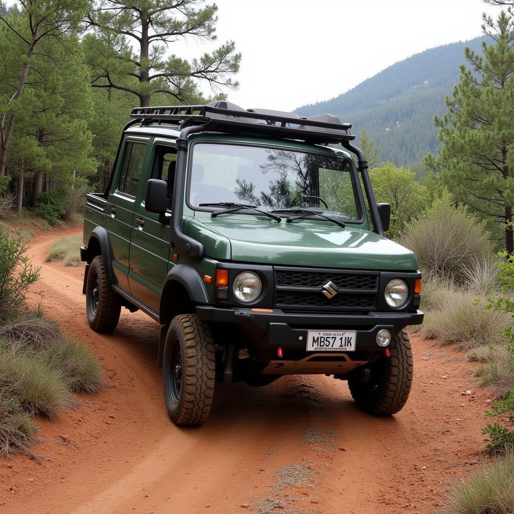 Modified Suzuki Carry Off-Road