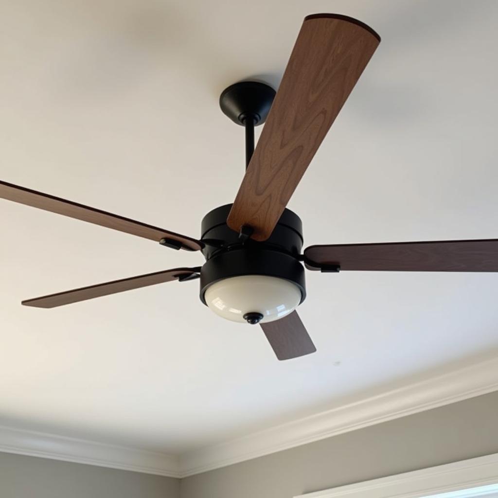 New Ceiling Fan Installation Raleigh