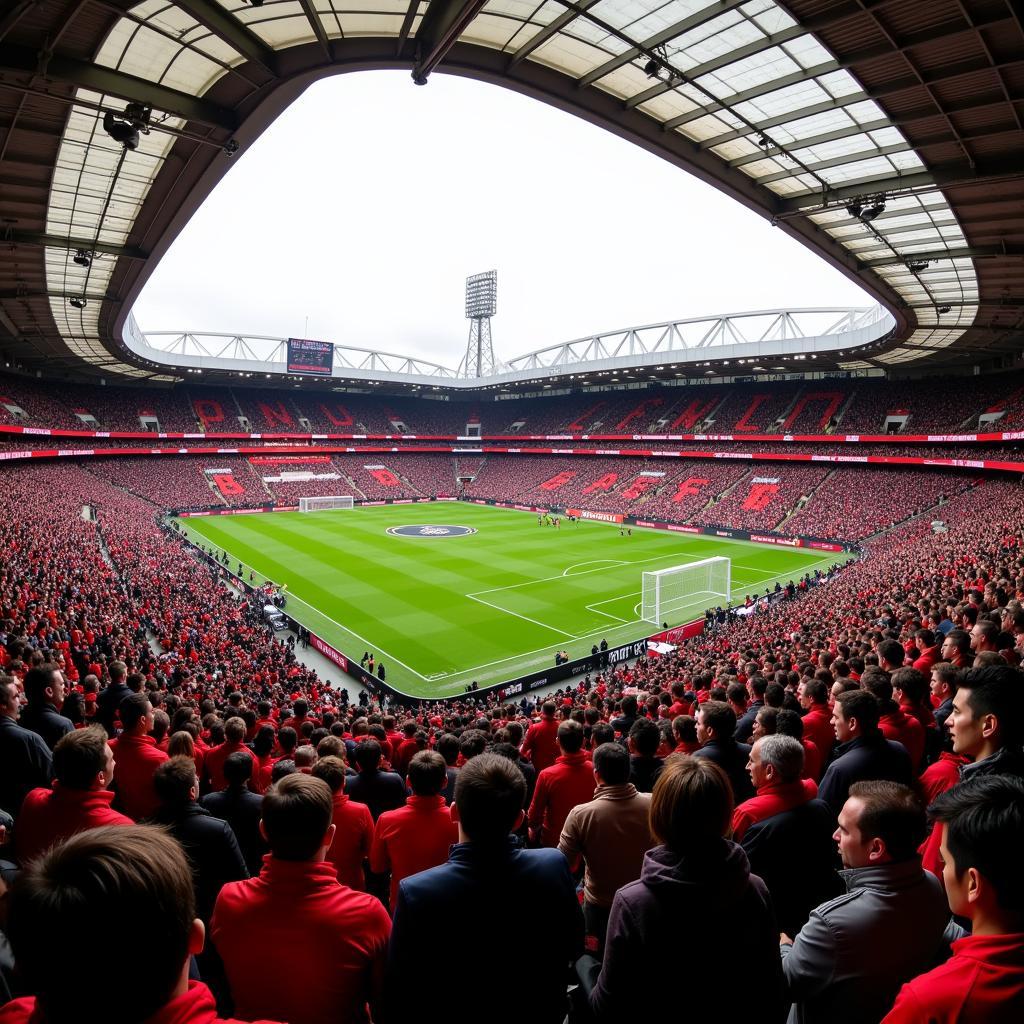 Manchester United Fans at Old Trafford