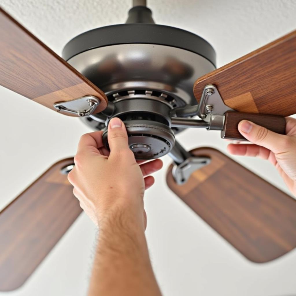 Phoenix Ceiling Fan Installation