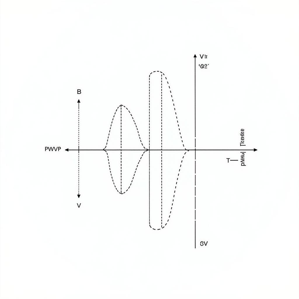 PWM Signal