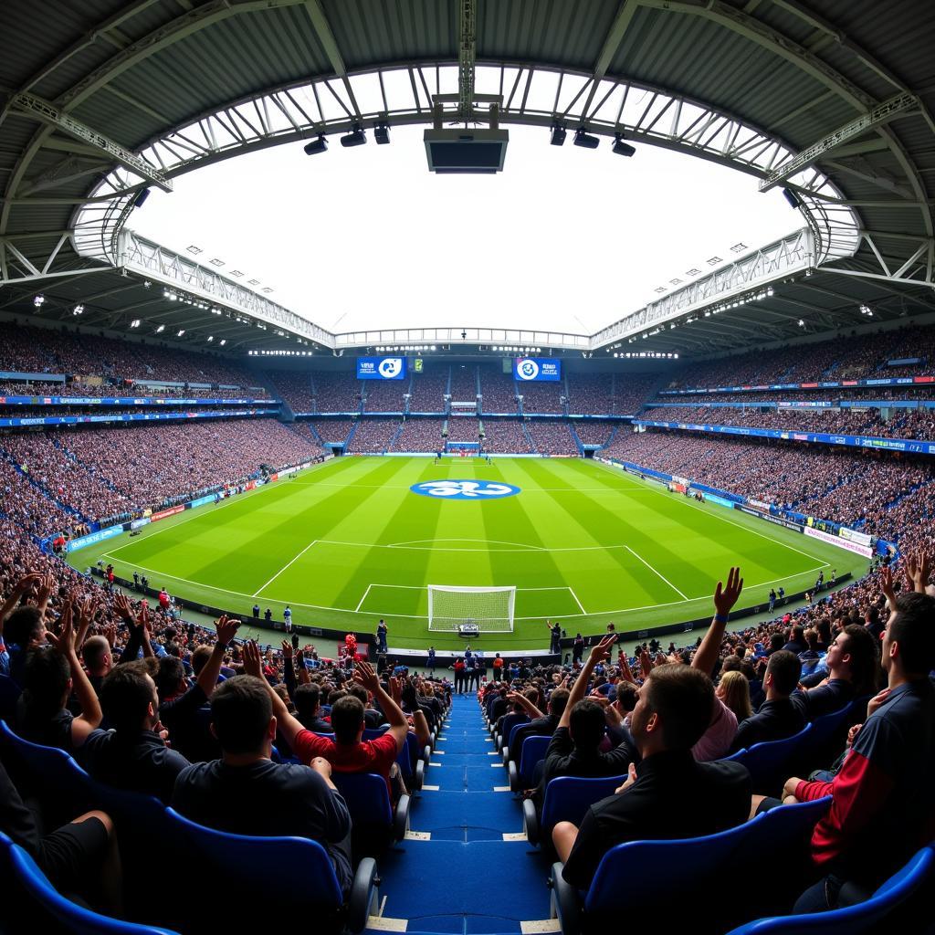 Schalke 04 fans celebrating a goal at the Veltins-Arena