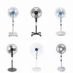 Standing Fan Types in Vietnam