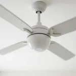 Ceiling Fan Rotating Counterclockwise in Summer