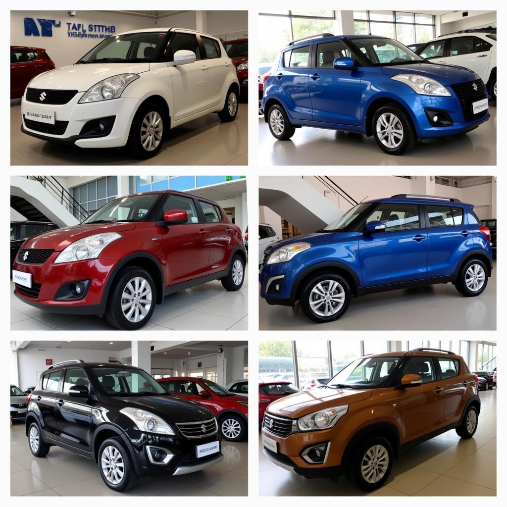 Suzuki Models Available at Ngoc Tri Fan Thiet Dealership