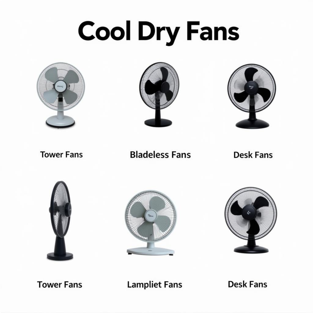 Different Types of Cool Dry Fans