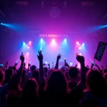 Zero9 fans enthusiastically cheering at a concert