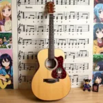 Beginner Acoustic Guitar for Anime Fans