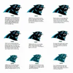 Carolina Panthers Logo Evolution Through the Years