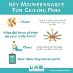 Essential Ceiling Fan Maintenance Tips